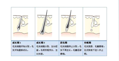 为什么有时候感觉家用脱毛仪效果不明显？(图1)