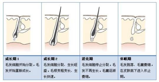 家用脱毛仪能绝毛吗(图1)
