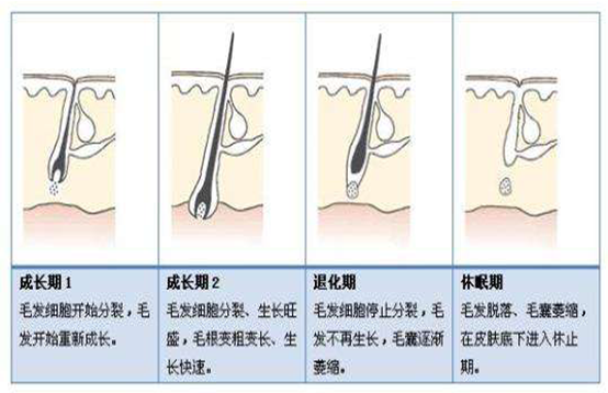 脱毛后又长，你是不是没有用对方法(图2)