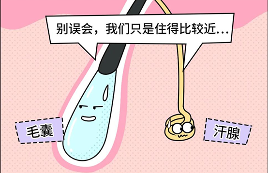 脱毛不彻底，毛毛的生命力到底有多顽强？(图4)